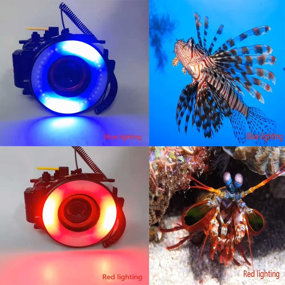 SL-108 ring light