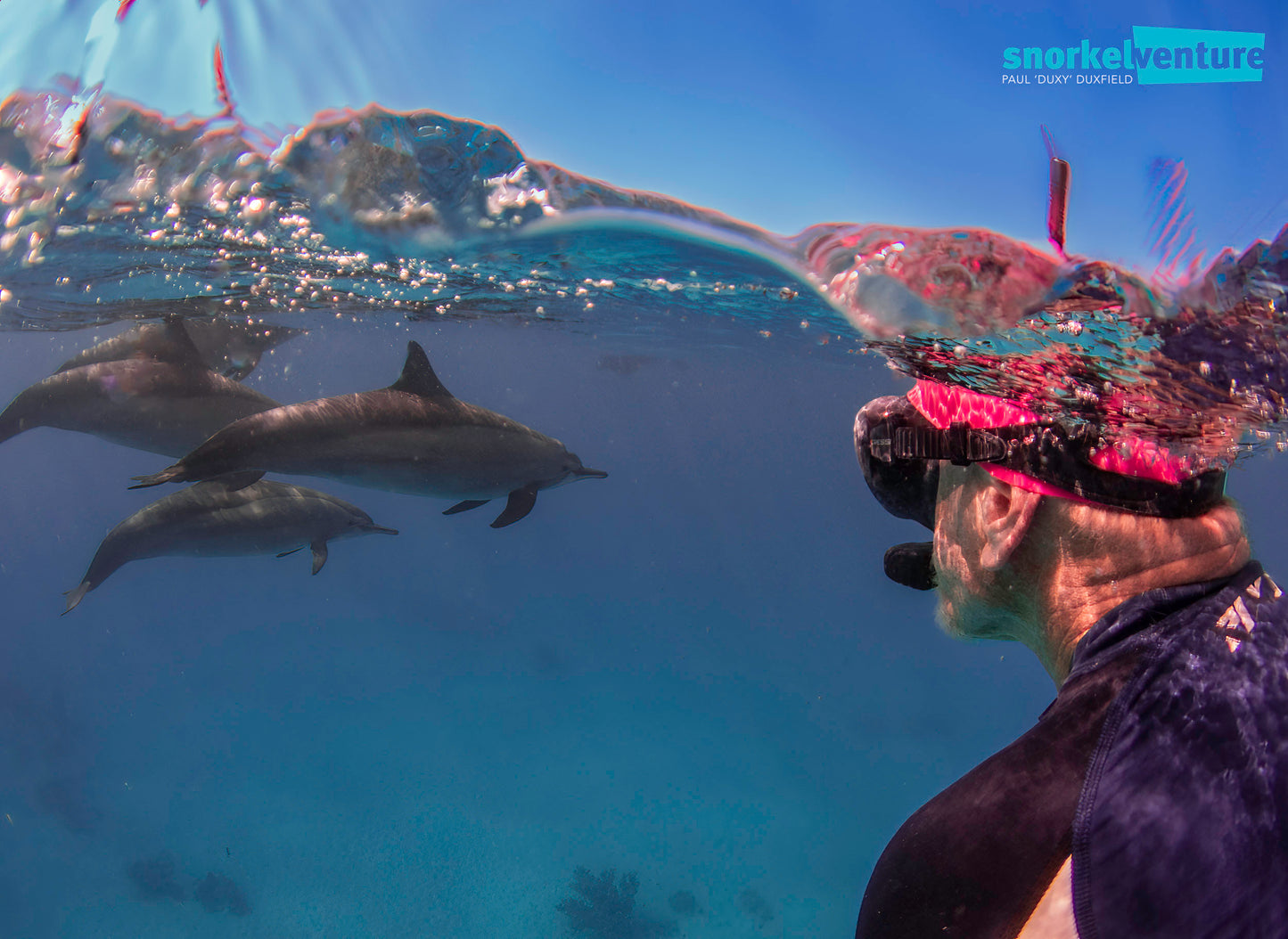 TG-7 Camera, Ikelite Housing, FCON-02 wide angle lens, adapter, Ikelite dome + flat port