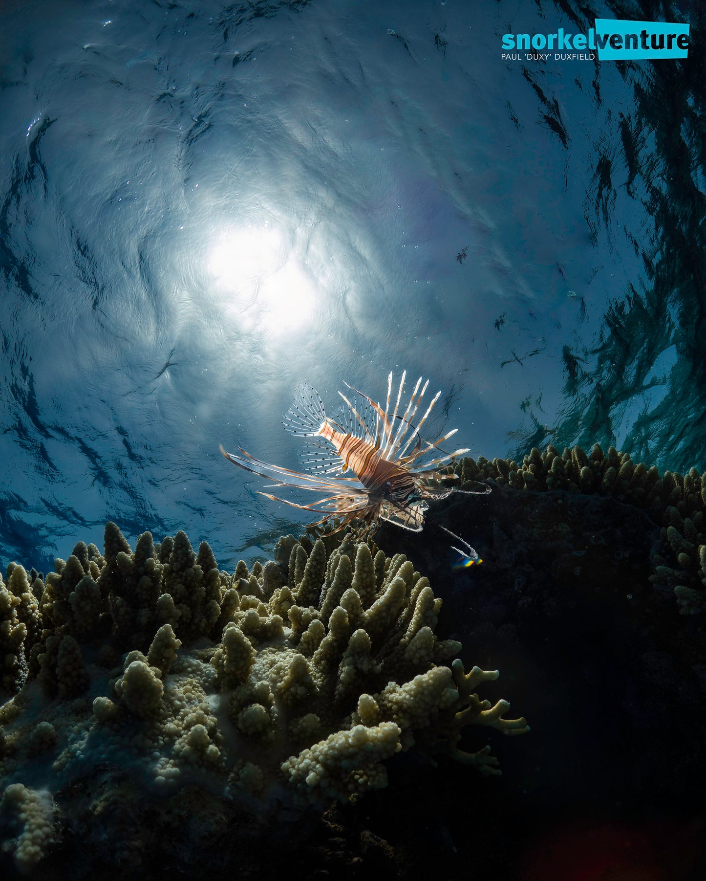 TG-7 Camera, Ikelite Housing, FCON-02 wide angle lens, adapter, Ikelite dome + flat port