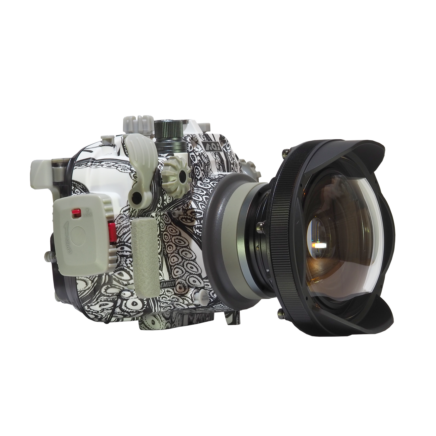 OM-D EM10 IV Camera + Backscatter Housing Super Wide Package