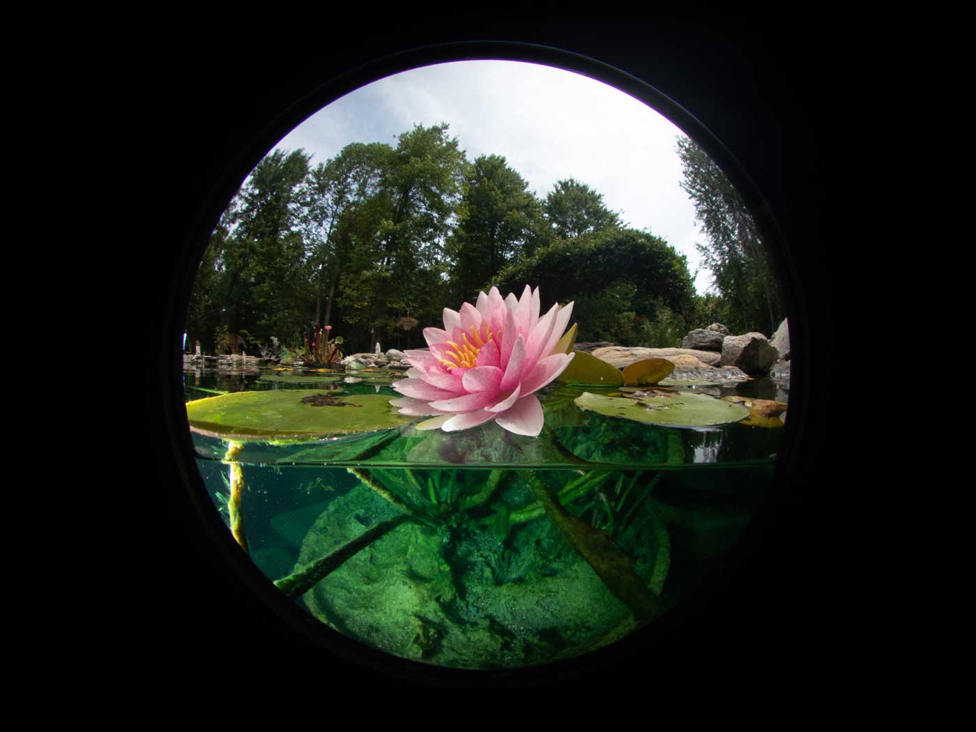 DOME PORT OLYMPUS FCON-T02 KIT WITH LENS