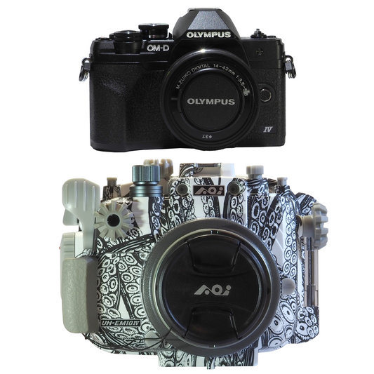 OM-D EM10 IV Camera + Backscatter Housing Package