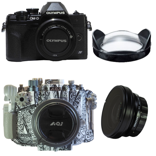 OM-D EM10 IV Camera + Backscatter Housing Super Wide Package