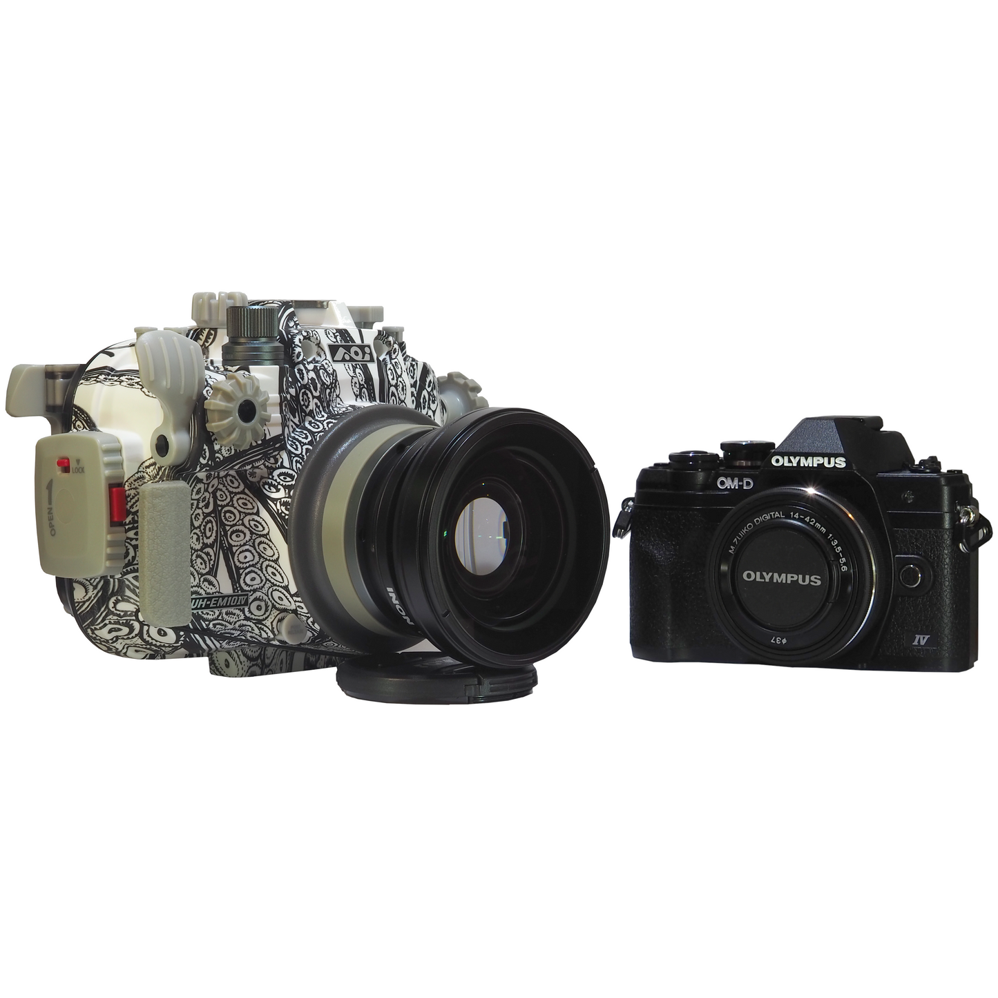 OM-D EM10 IV Camera + Backscatter Housing Wide Angle Package