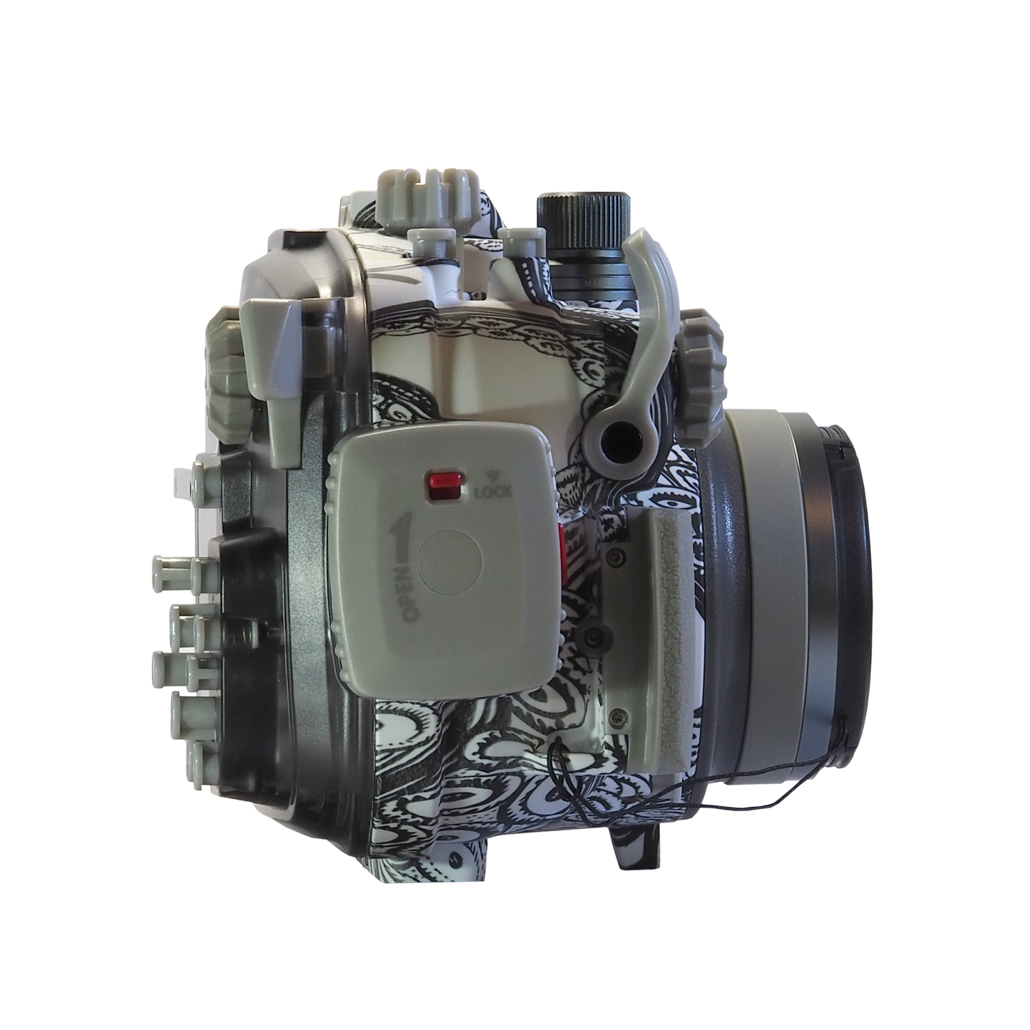 Backscatter OM-D EM10 IV Housing