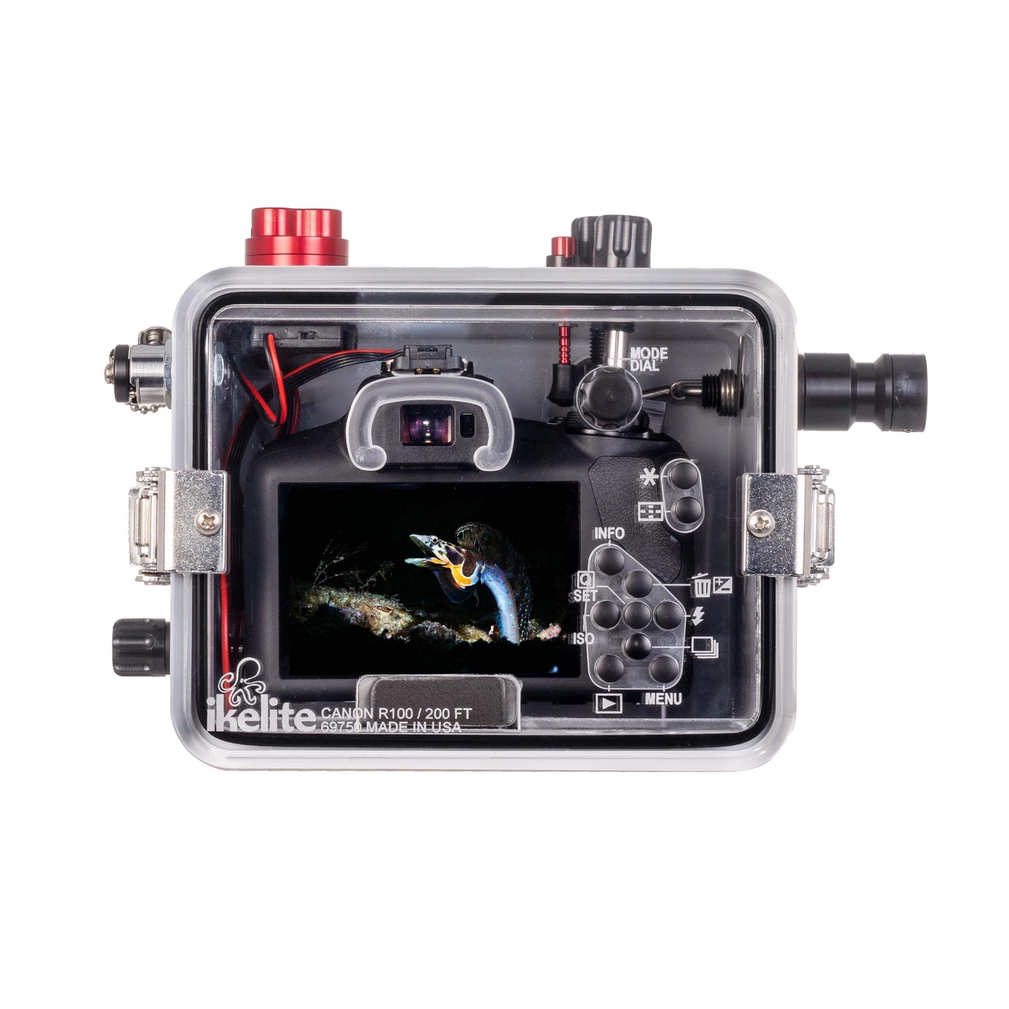 Ikelite #69750-FBR CANON EOS R100 HOUSING   [FIBER OPTIC]