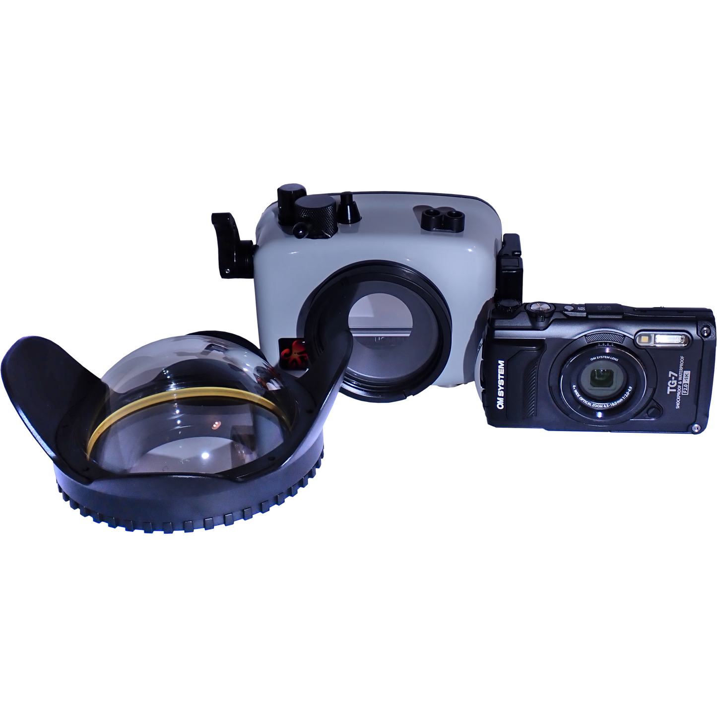 OM System TG-7 + Ikelite housing + Seafrogs dome lens