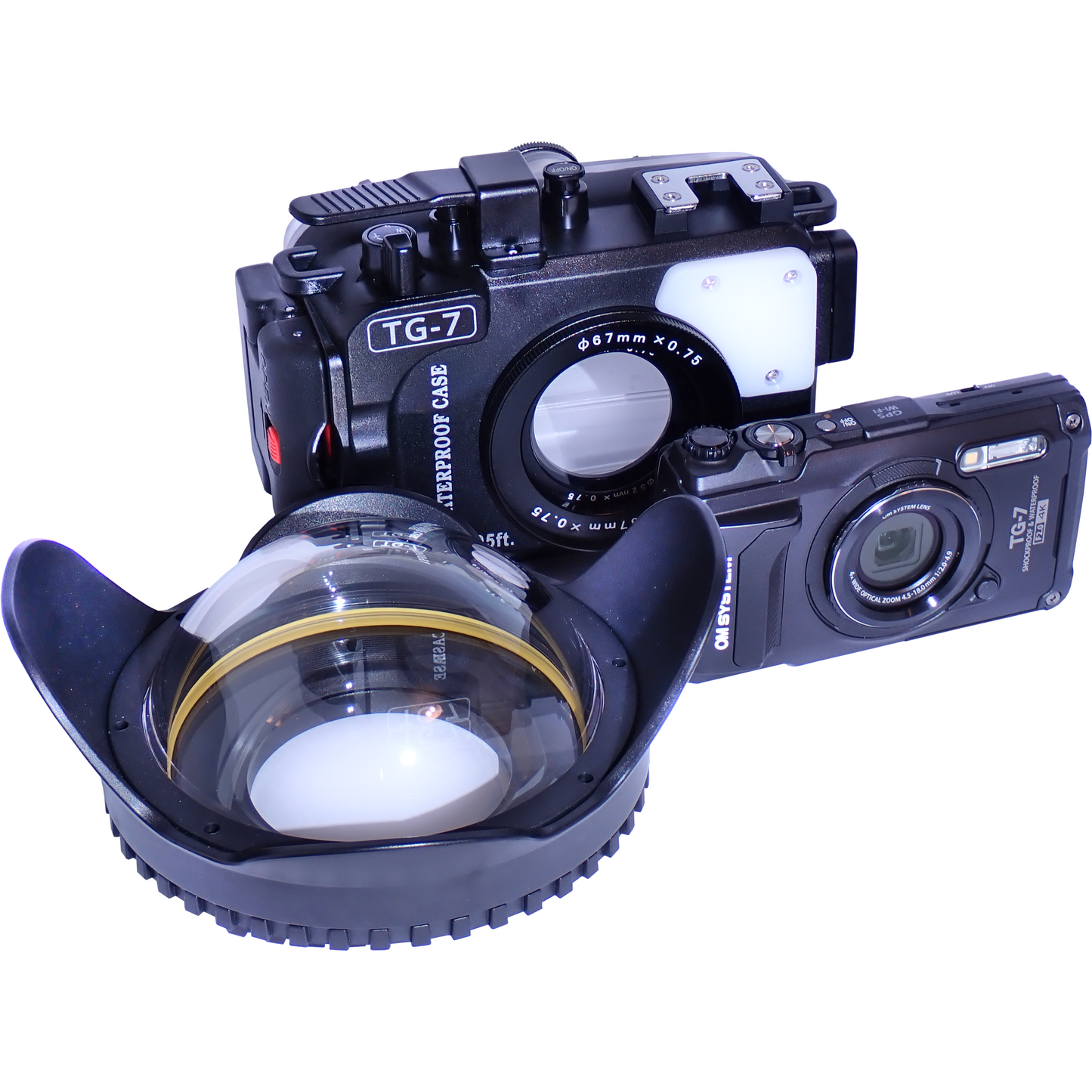 OM System TG-7 + Seafrogs housing + Seafrogs dome lens