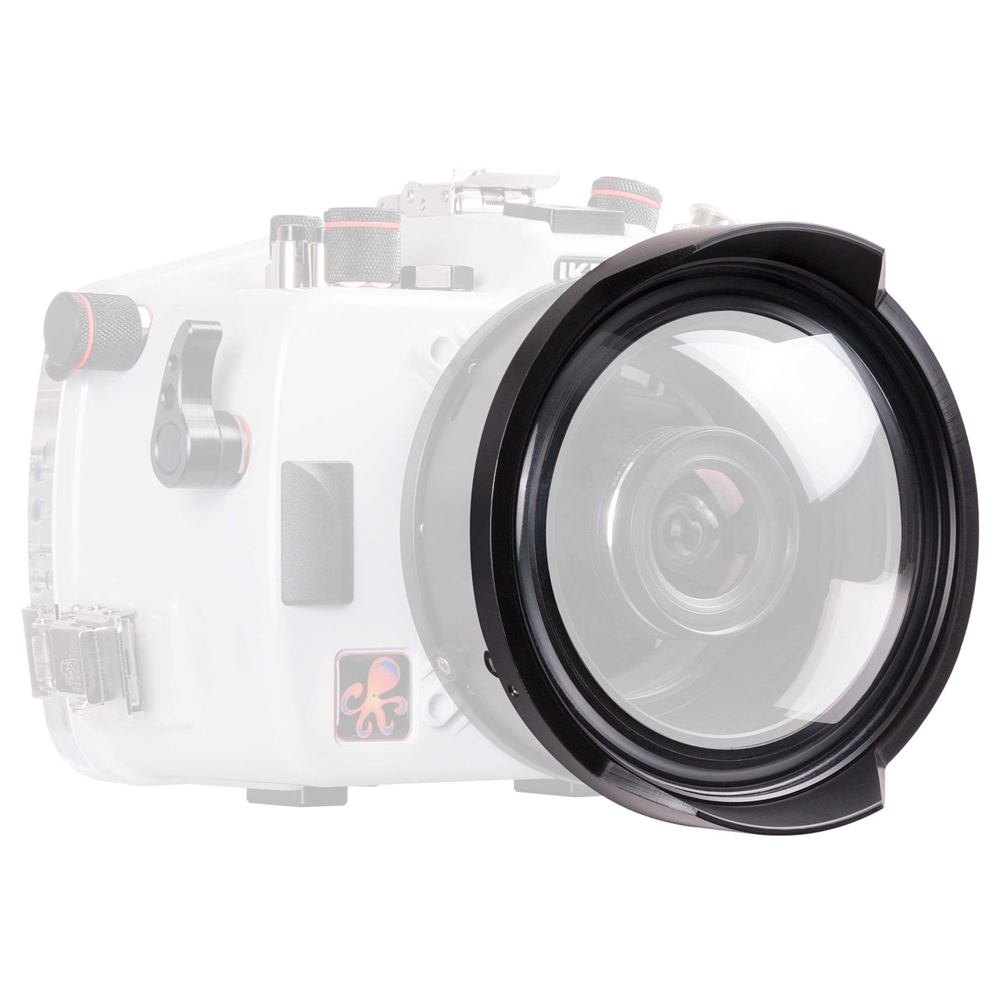 DL COMPACT 8 INCH DOME PORT