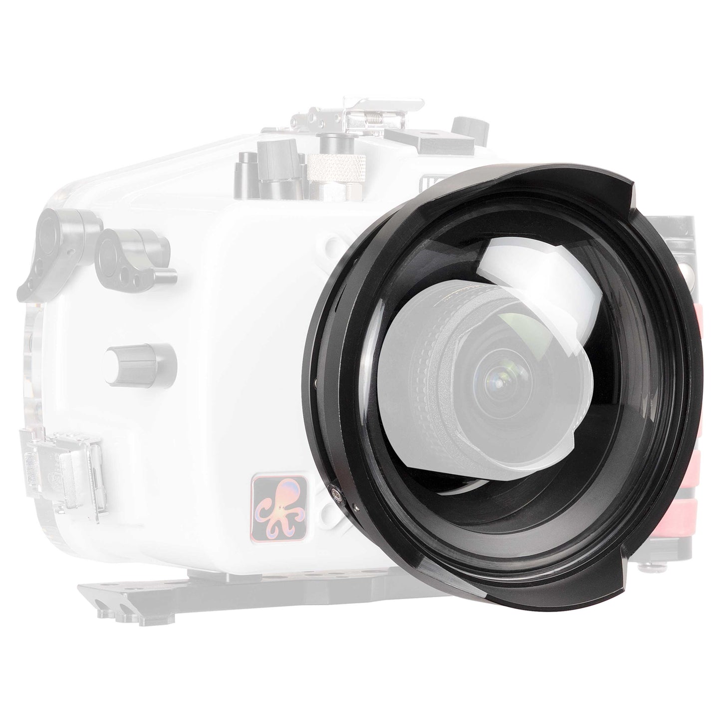 DL COMPACT 8 INCH DOME PORT EXTENDED